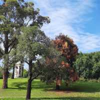  A Hidden Gem in Alexandra Gardens