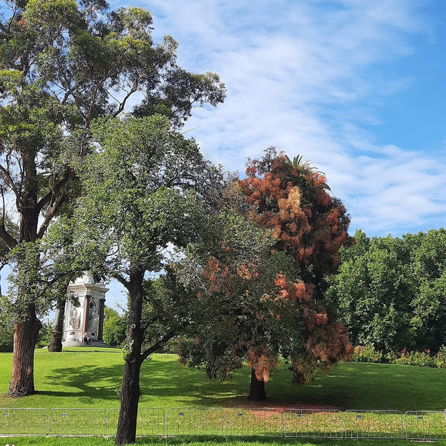  A Hidden Gem in Alexandra Gardens