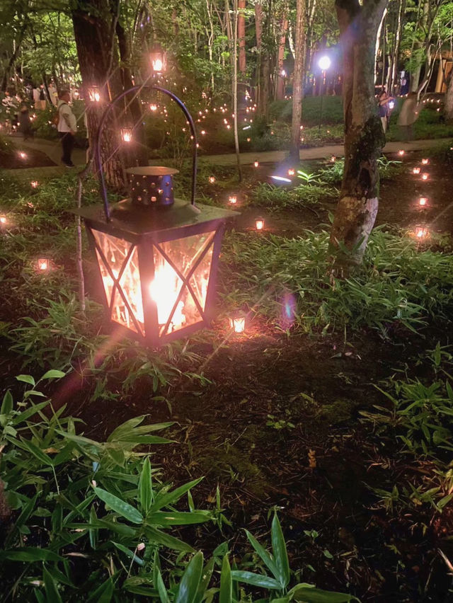【軽井沢高原協会⛪️Candle Night🕯️】