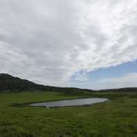 【綠色天堂】草千里之濱：馬匹體驗、停車場、火山博物館，適合晴朗天氣