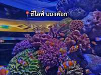 📍ซีไลฟ์ แบงคอก