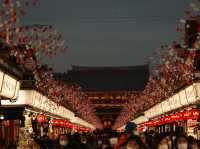 打卡以外，別忘記了解雷門神社的豐富的歷史