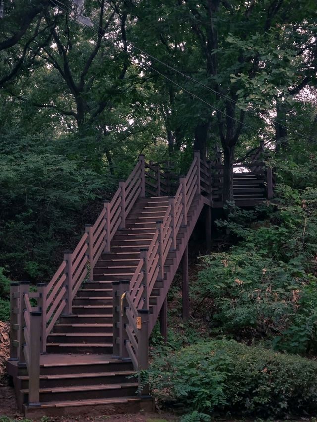 환상적인 모담숲 산책