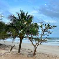 📌 เที่ยวชายหาด หาดทุ่งวัวแล่น