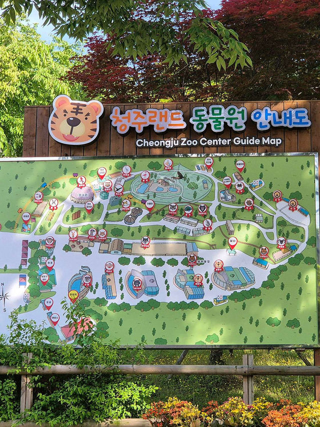 🌼༉₊🌤 청주랜드동물원