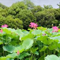 栗林公園！！
