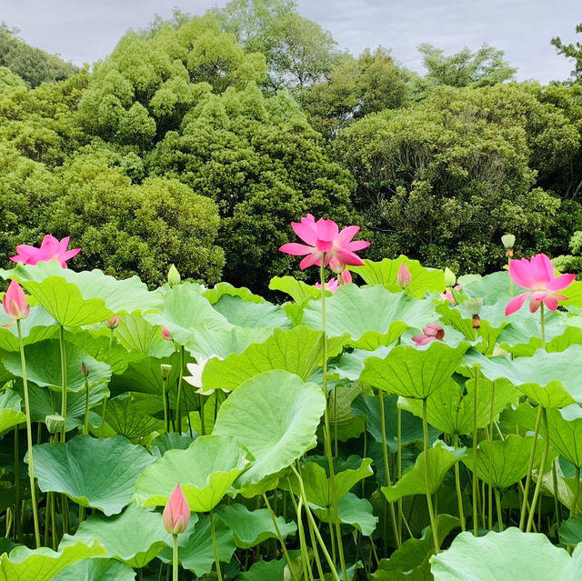 栗林公園！！