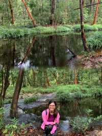 Exploring the Hidden Wonders of Gunung Kelambu Lang: A Guided Jungle Adventure