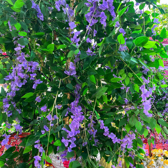 🇲🇾 Bloom with Beauty: Discover Flower Blossoms at Armenian Park