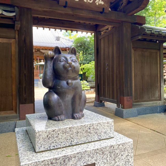 日本ㅣ東京ㅣ豪德寺ㅣ達願千貓神社/招財貓史祖