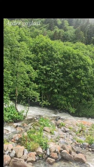 Ayder, Trabzon 