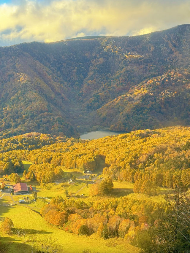 【秋を攻略】おすすめスポットをご紹介🍁