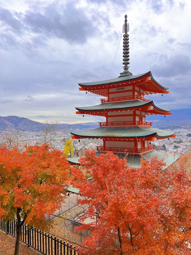 【秋を攻略】おすすめスポットをご紹介🍁