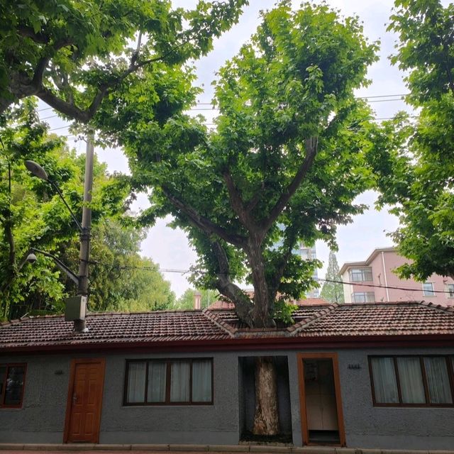 上海孫中山先生故居 上海孫中山先生故居