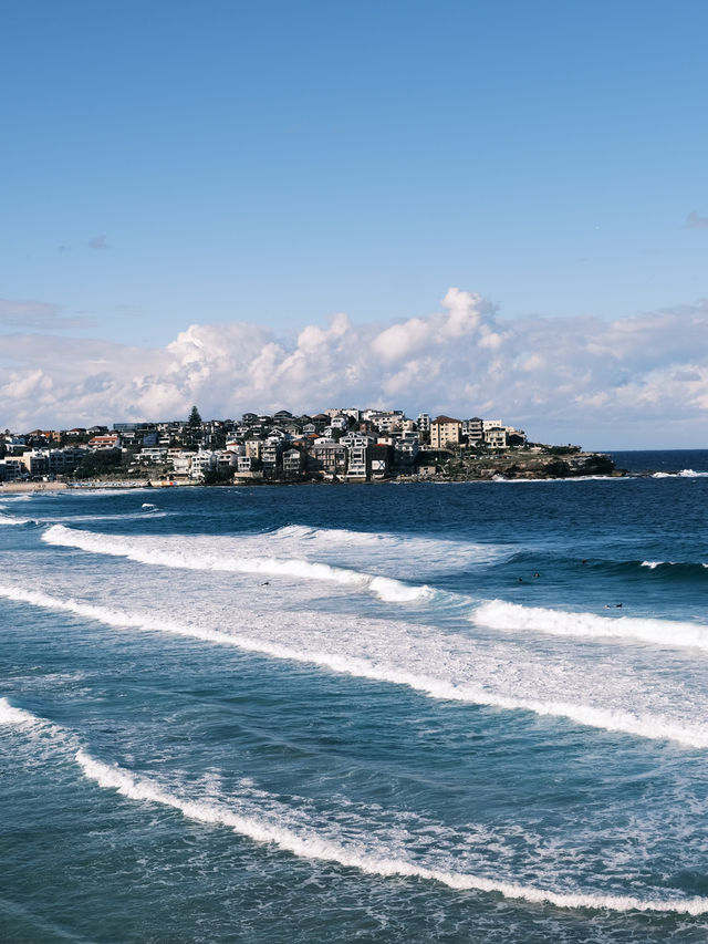 🇦🇺悉尼旅行·屬於悉尼的藍色Bondi Beach🩵