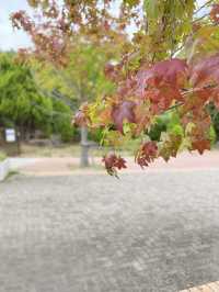【淡路島】ちょっと変わったハイキング