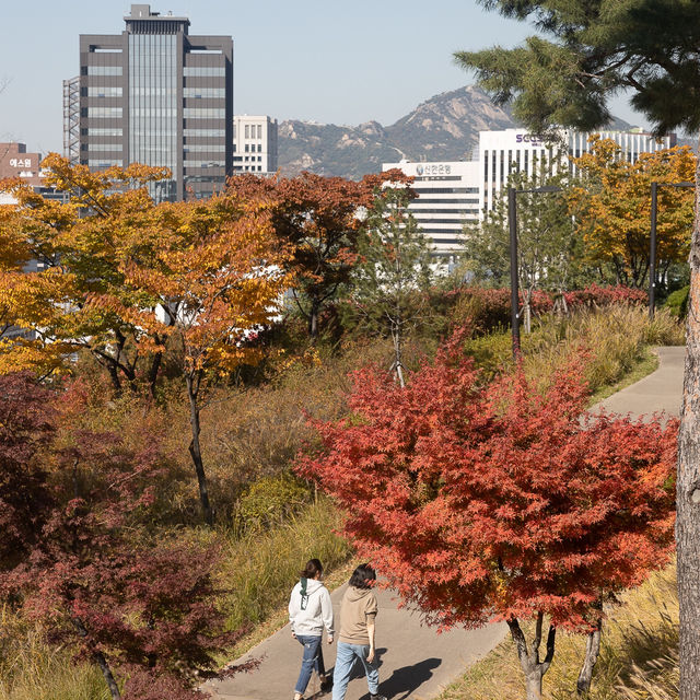 가을에 가볼만한곳 서울 백범광장