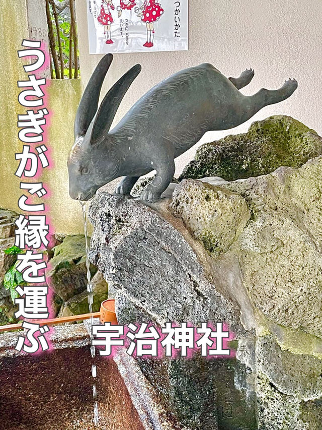 【京都府】うさぎがご縁を運ぶ神社
