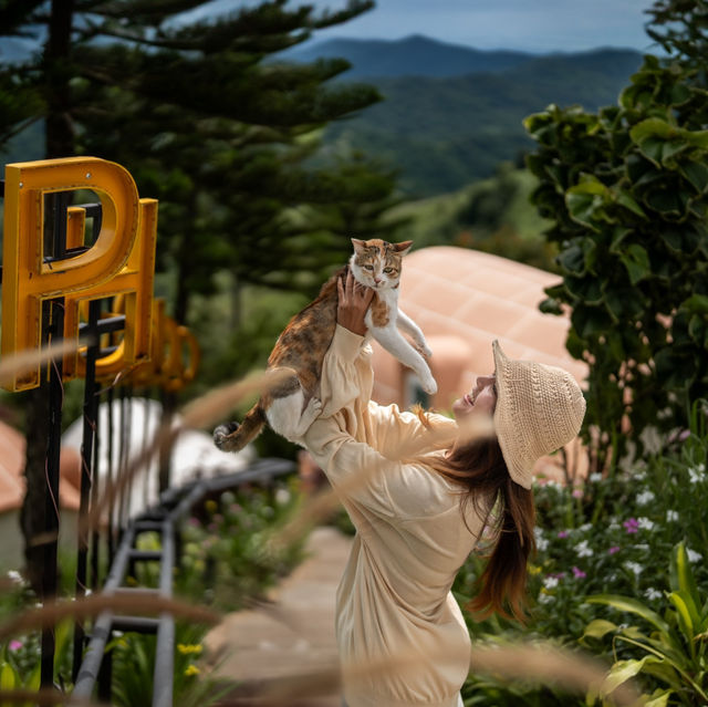 ที่พักเขาค้อ บ้านแยมโรลสุดน่ารัก ⛰️