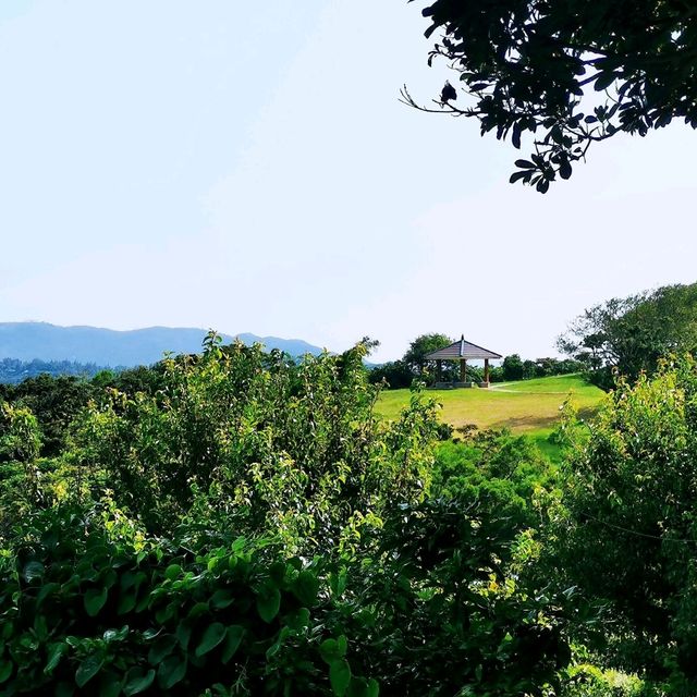 大坑墩清水灣郊野公園