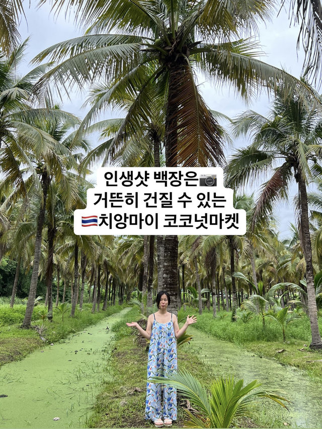 🌴야자수와 함께 인생샷 백장 건질 수 있는🇹🇭치앙마이 코코넛마켓