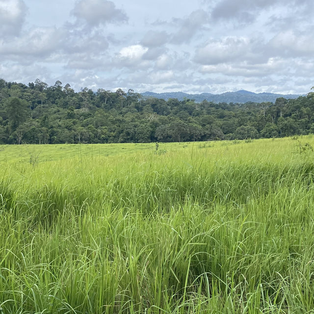 อุทยานแห่งชาติเขาใหญ่ | KHAO YAI National Park 