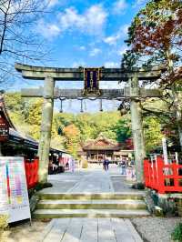 【京都府】白兎が可愛い