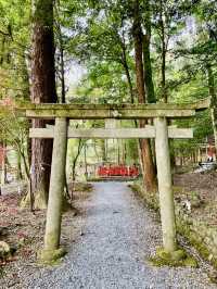 【京都府】パワフルな磐座が目前