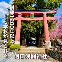 【山梨県】樹齢1200年以上の7本杉が見られる
