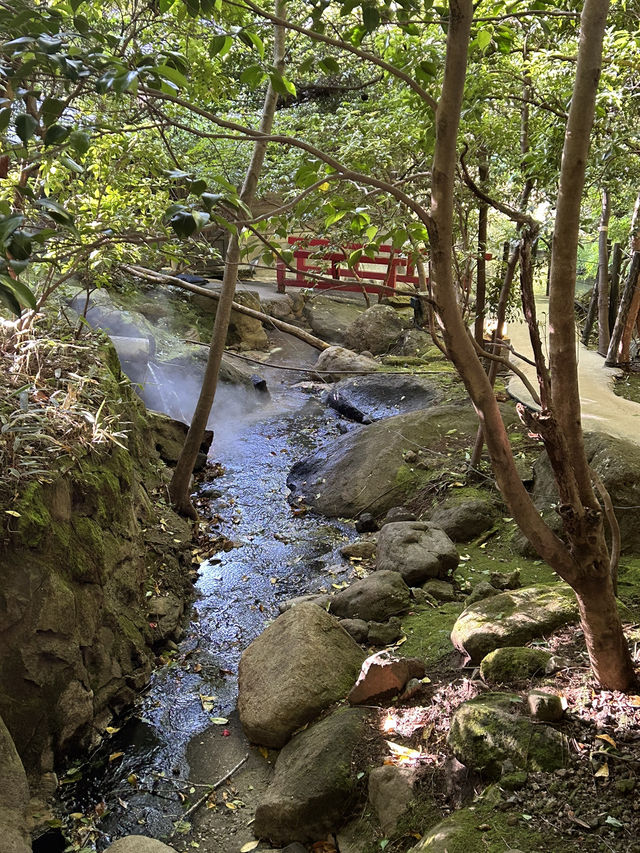 【熊本・黒川温泉】緑を眺めながら入る温泉が最高