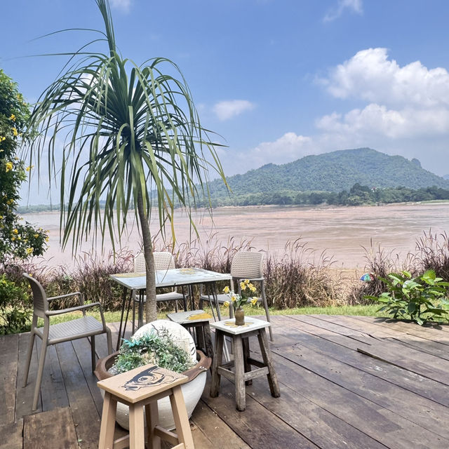 🌿คาเฟ่บ้านติดดินเชียงคาน🪴