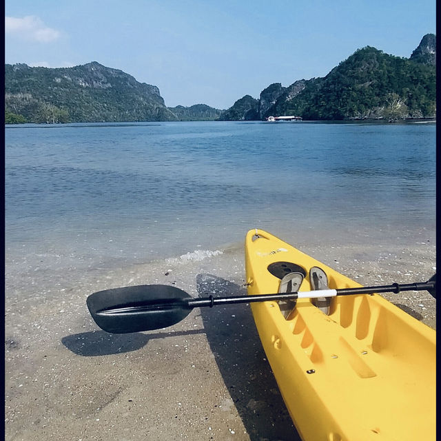 Kayaking Through the Mangroves of Kilim Geoforest Park