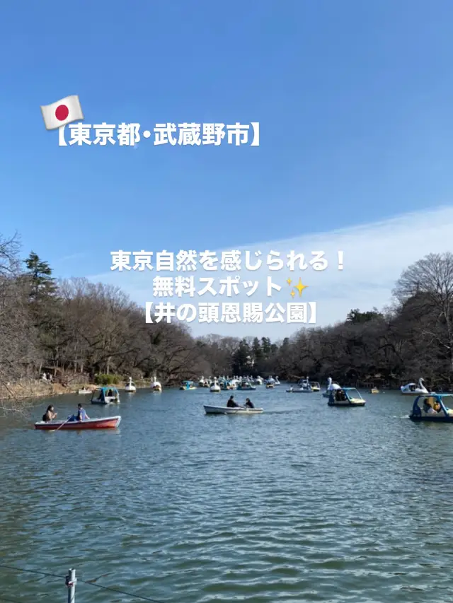 【武藏野市】東京都可以享受大自然樂趣的免費景點✨️