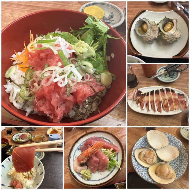 東京郊區：三浦半島吞拿魚美食一日遊之旅