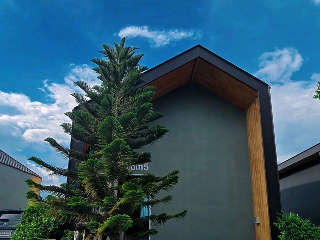 ที่พักท่ามกลางภูเขา ไร่อ้อย ธรรมชาติ 