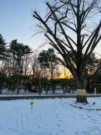 눈밭에서 노을 사냥 가능한 카페🌅 ⛄️