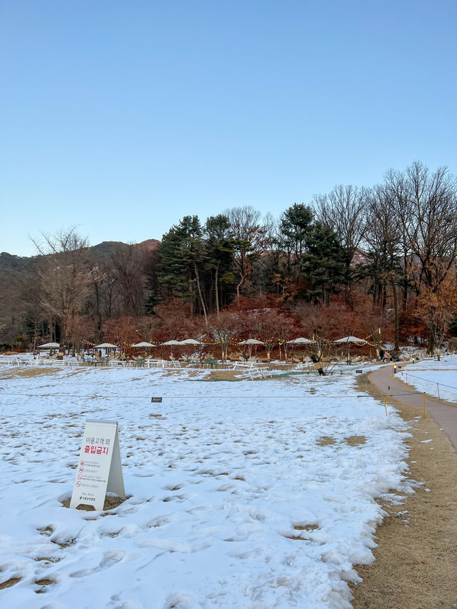 눈밭에서 노을 사냥 가능한 카페🌅 ⛄️