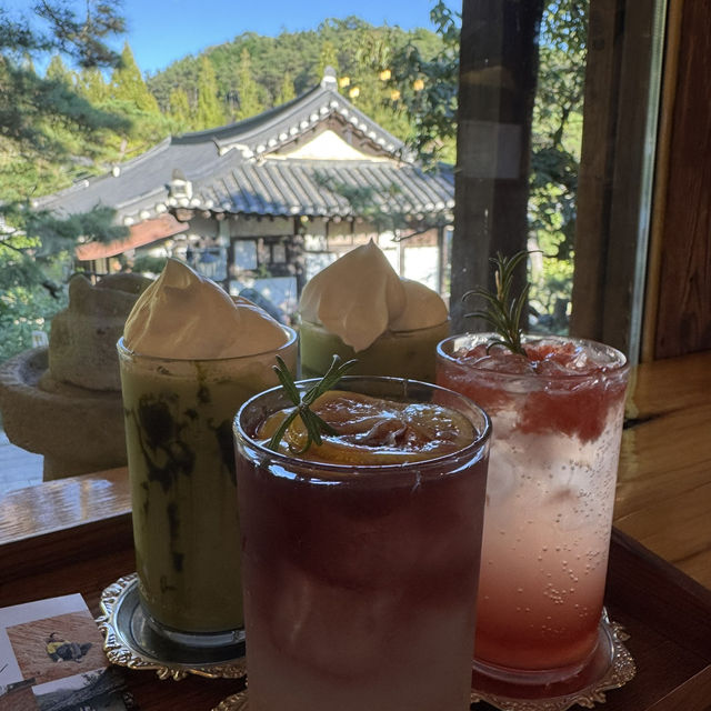 보성에 이런 카페가? ☕️
