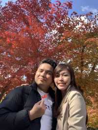 Picturesque Nami island in Fall 🍂🍁