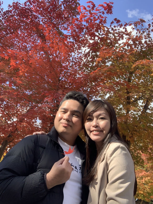 Picturesque Nami island in Fall 🍂🍁