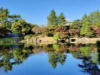 名古屋德川園-經典的日本庭園，環境精緻優美