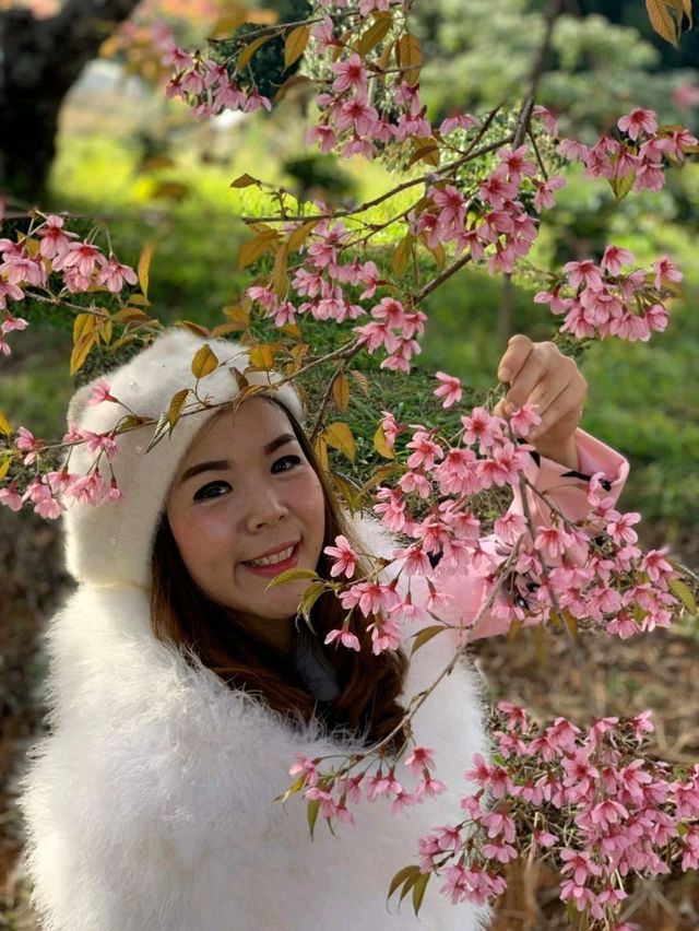 ศูนย์วิจัยเกษตรหลวงเชียงใหม่ ขุนวาง