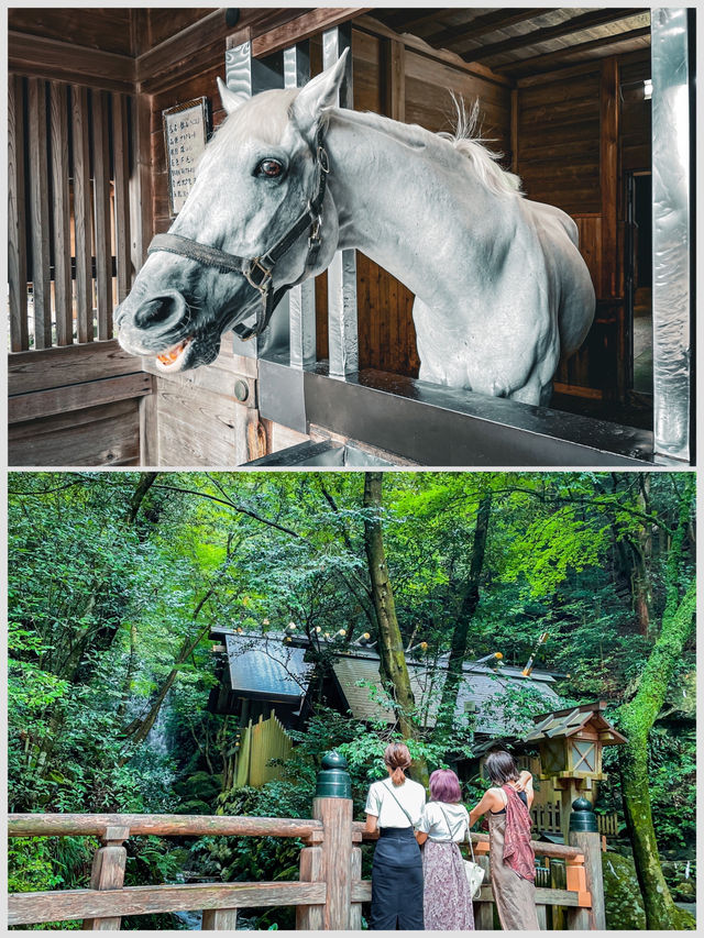 【三重】神秘的な歴史と自然が調和するパワースポット⛩✨