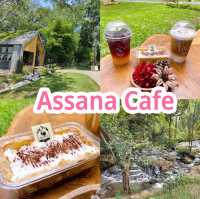 Assana Cafe