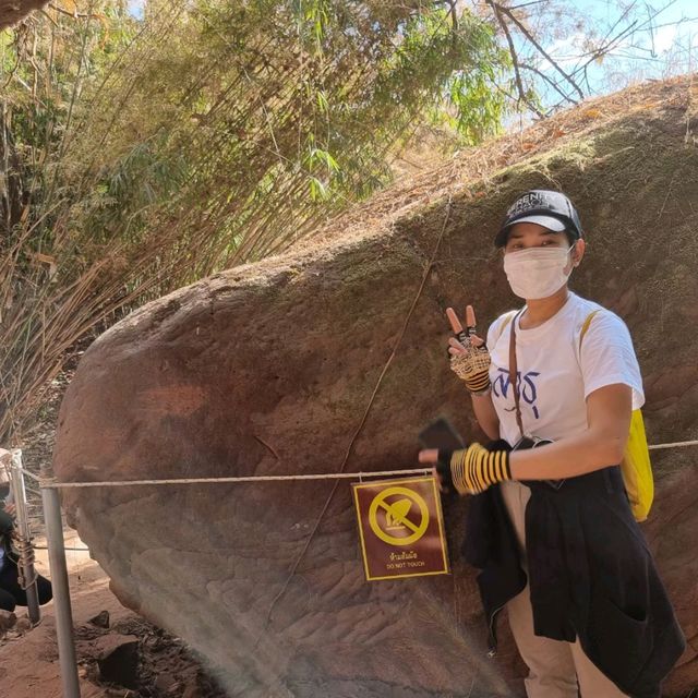 ทริปเดินป่า อุทยานแห่งชาติภูลังกา 