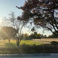 🏯 고즈넉한 역사 산책, 부여 부소산성 🌳