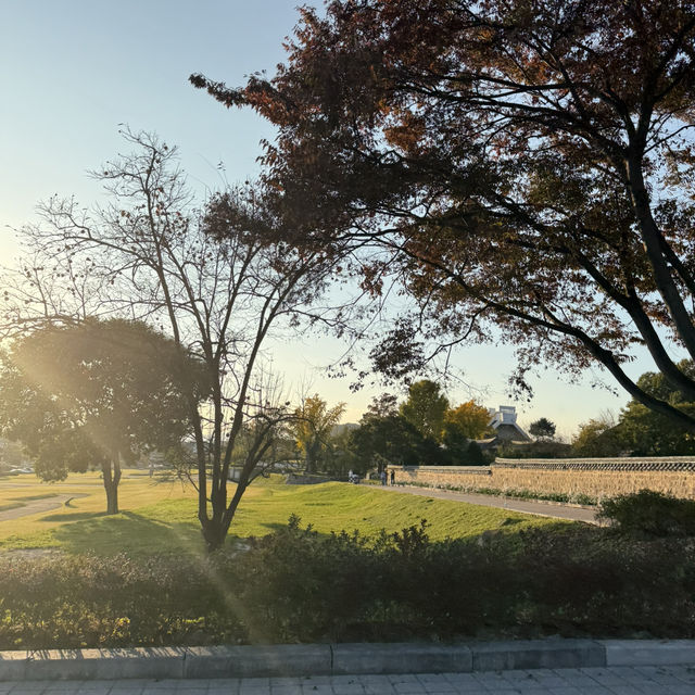 🏯 고즈넉한 역사 산책, 부여 부소산성 🌳