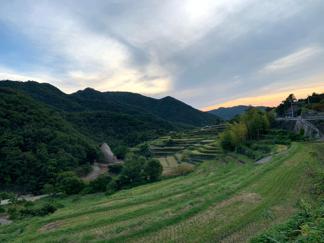 オリーブの島🫒小豆島