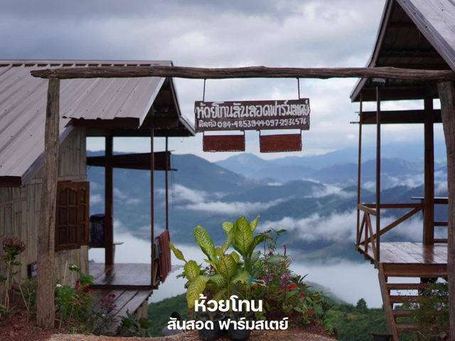 🌾 นอนโฮมสเตย์หลักร้อยวิวหลักล้าน จ.น่าน