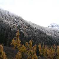 Dadu Glacier